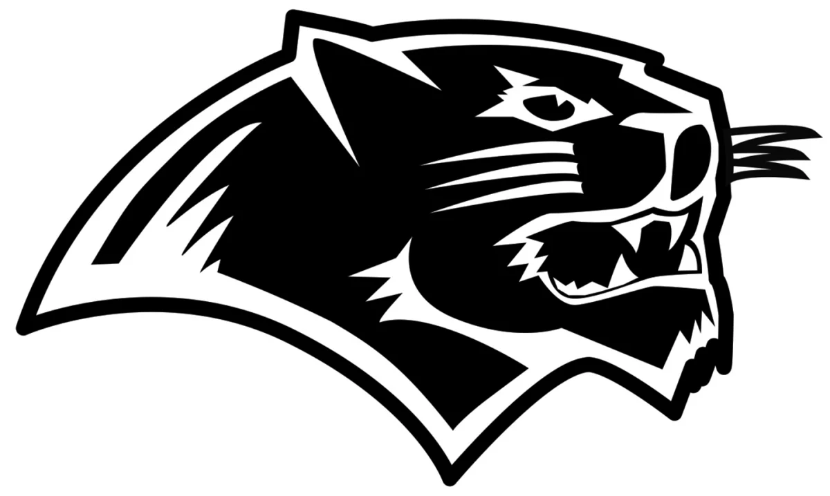 Dunklin R-V School District